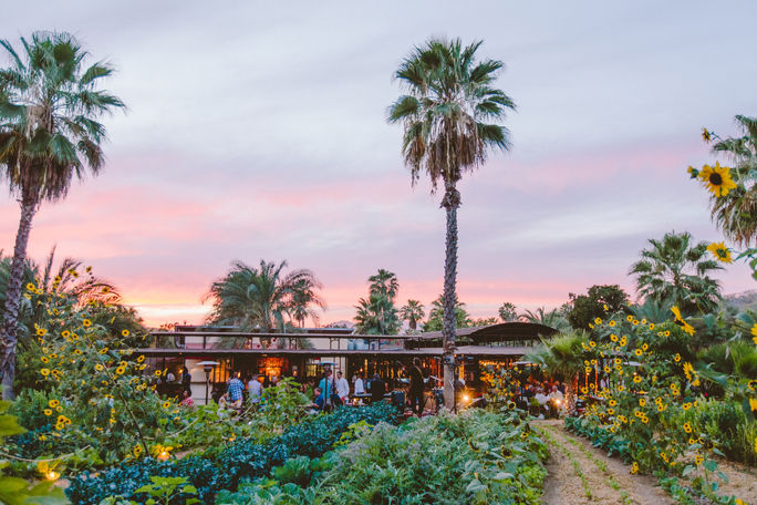 Farm to table dining at Flora Farms